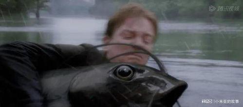 大鱼电影在线观看,在线观看,畅享视觉盛宴 第1张 大鱼电影在线观看,在线观看,畅享视觉盛宴 第1张