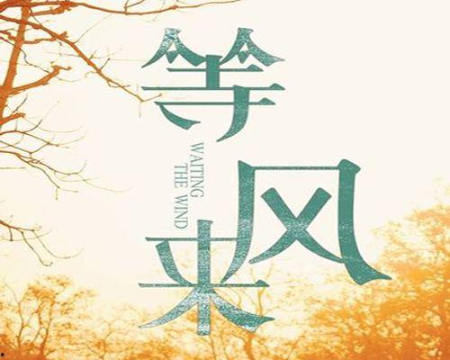 等风来在线观看,一场关于成长与梦想的青春盛宴  第3张