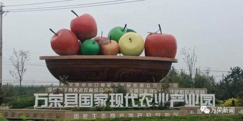 陈氏果业爆料事件视频,揭露行业黑幕背后的真相  第2张